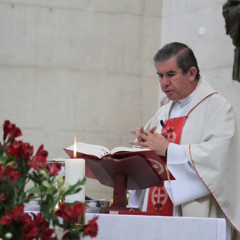 IMG_1889 copia IMG_1889 copia